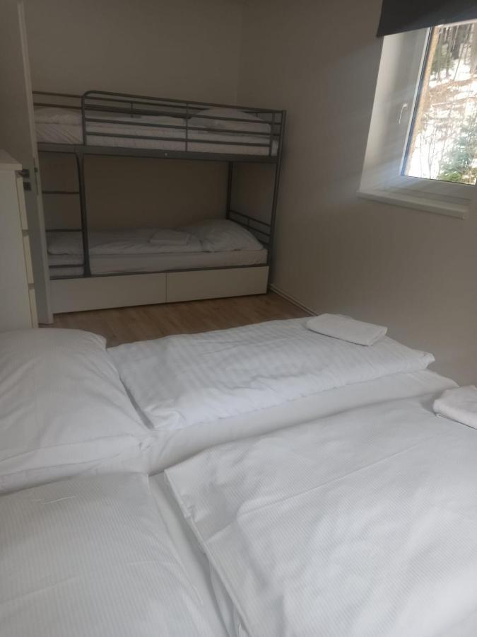 Apartmany Za Sneznikem Dolní Morava Kültér fotó